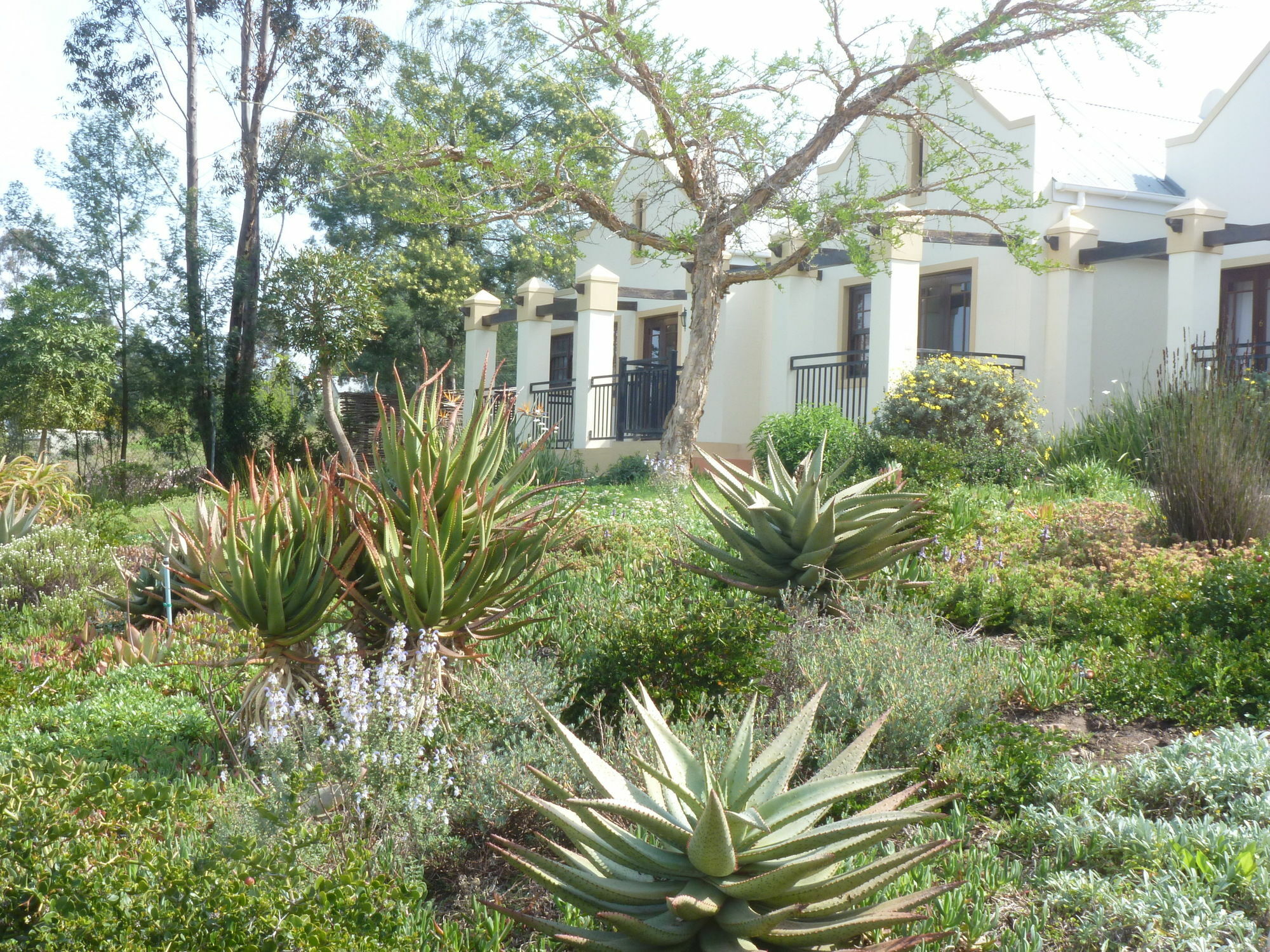 Langeberg Guest Lodge Swellendam Exterior photo